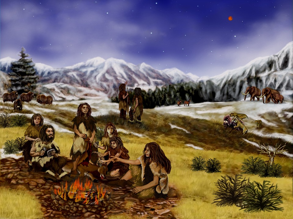 neanderthals 96